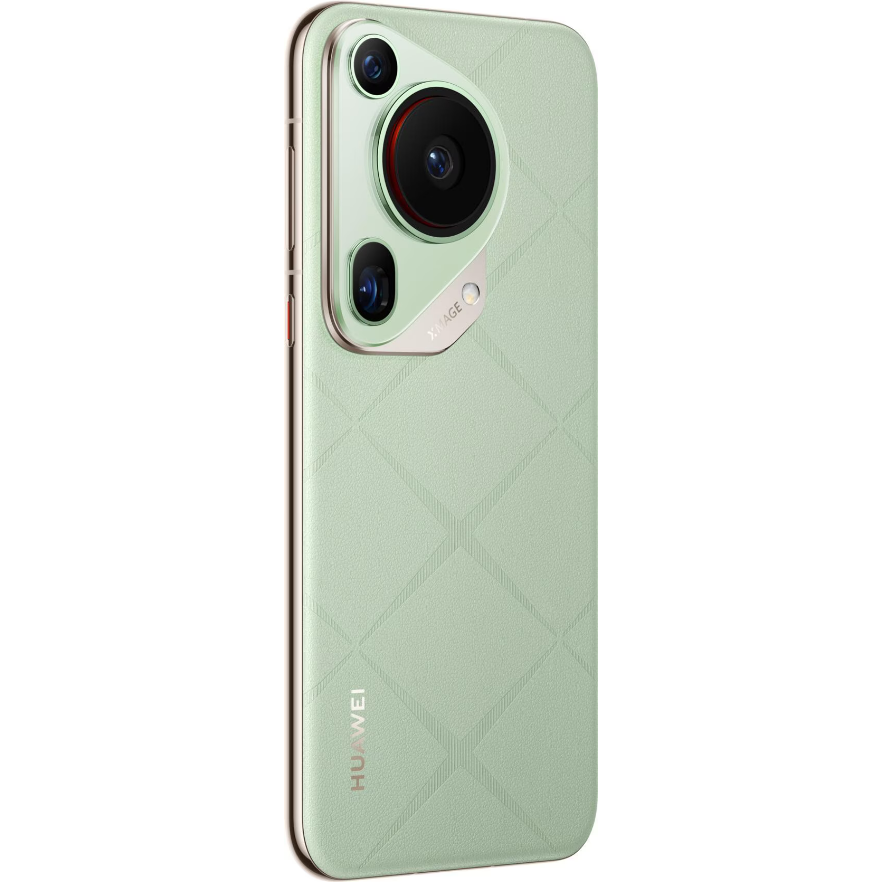 45867d4b-de67-432e-bcdf-81d84205fc0b_cropped