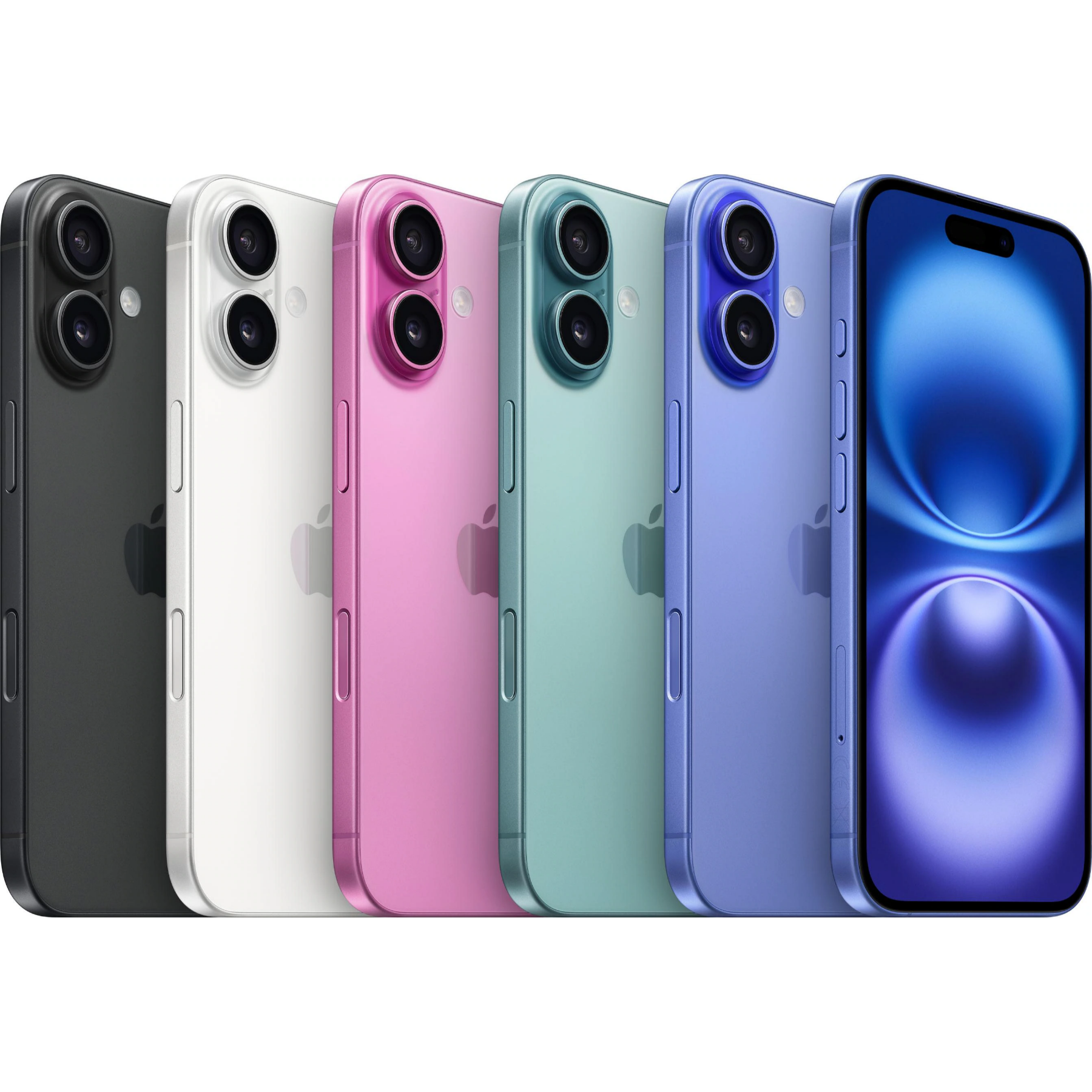 b85d1539-b303-4cee-95de-7b384da305e0_cropped