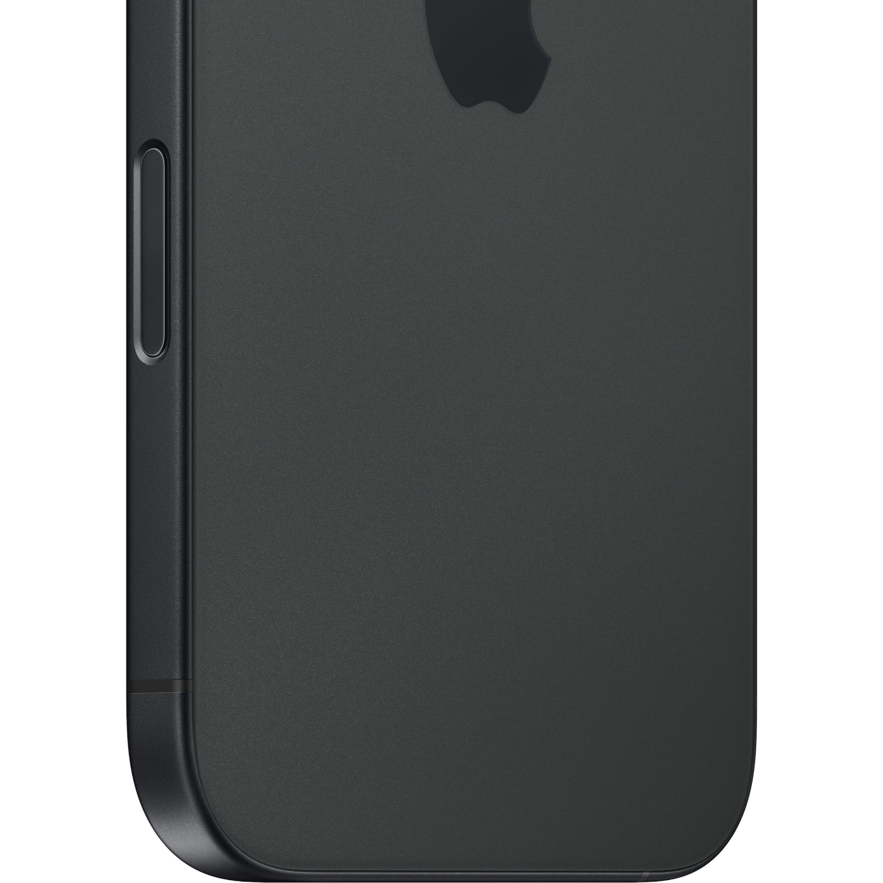 c6560953-5360-4847-bbaf-3c5b4f063e70_cropped