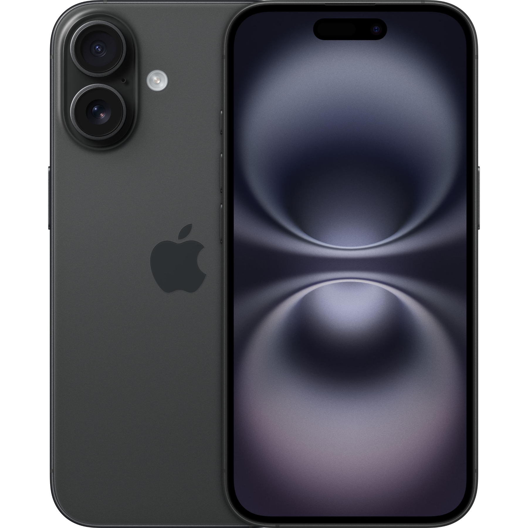 e3b2d497-1f29-49e5-94b8-d5f88a21d55c_cropped